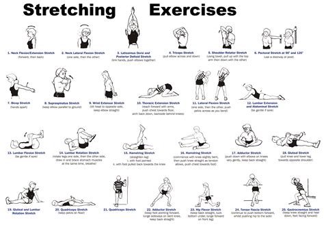 body stecher|examples of full body stretching.